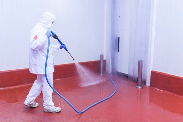 Best Paint Preparation  in Reinholds, PA